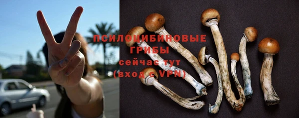 ешки Бородино