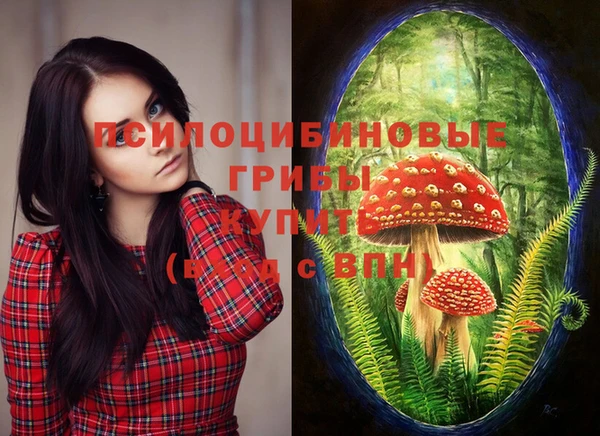 МДПВ Бугульма