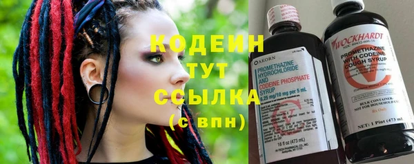 ешки Бородино